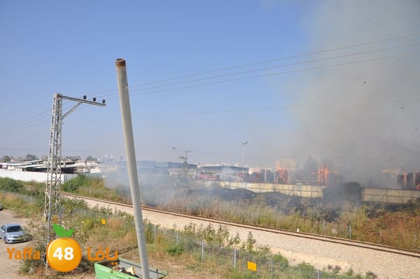 firecartoonsecnd506 (25).JPG